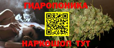 PSILOCYBIN Новодвинск