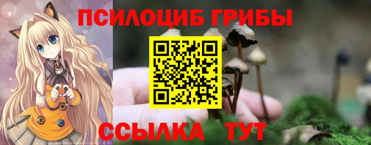 Псилоцибиновые грибы MAGIC MUSHROOMS  Галлюциногенные грибы Psilocybe  Псков  Вход с VPN 